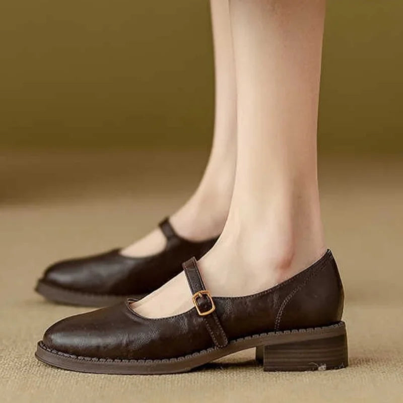 Leather Mary Jane Shoes Low Block Heel Strap