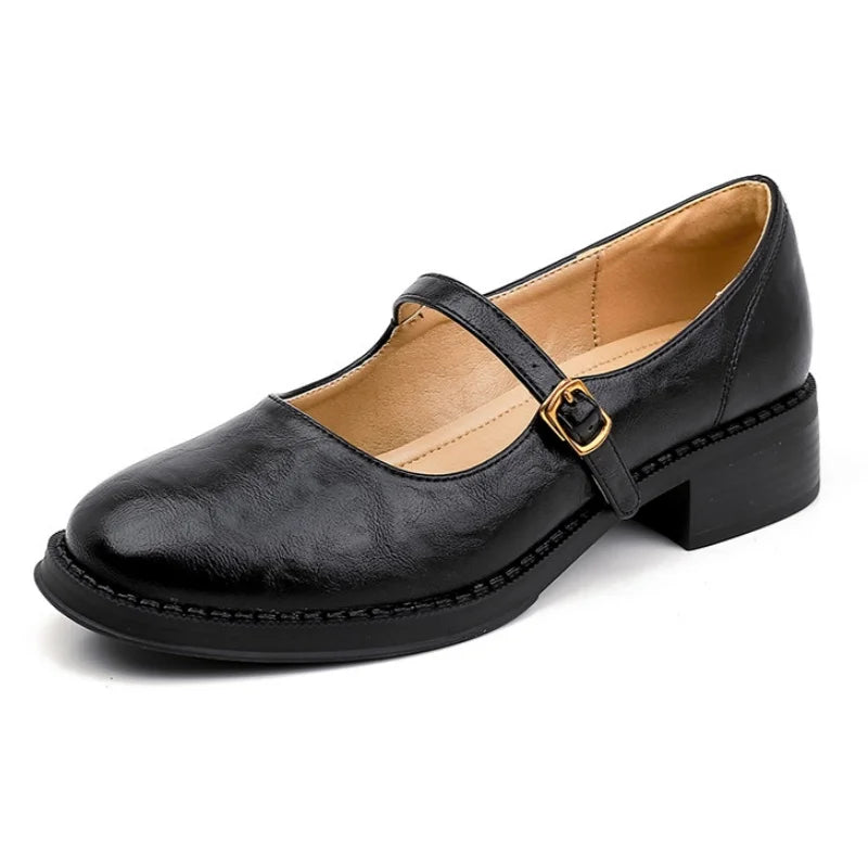 Leather Mary Jane Shoes Low Block Heel Strap
